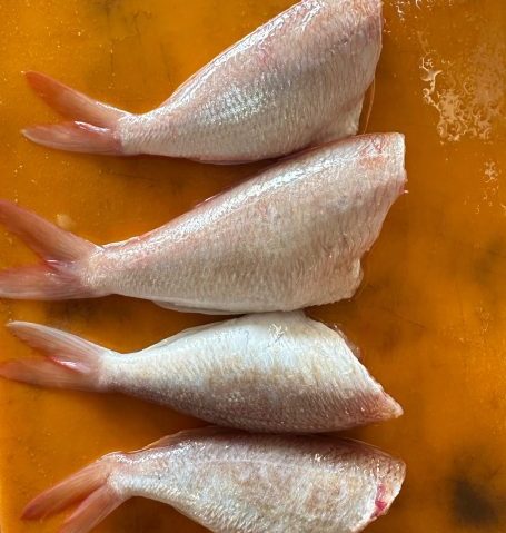 Home kurisi potong kpt