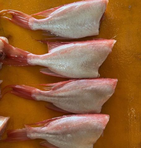 Home swanggi potong spt